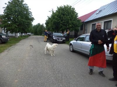 Pulsa para ver la imagen a tamaño completo